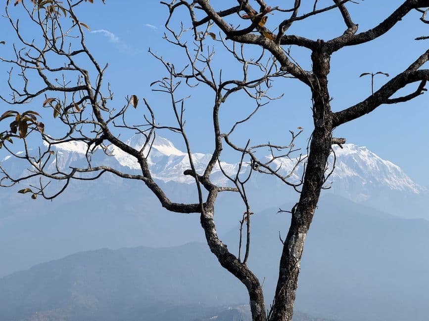 Your 2026 Blueprint: Nepali Youth Thriving in Remote Work & Freelancing